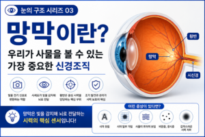 망막 썸네일