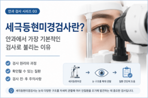 세극등 썸네일